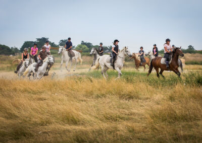 Centre Hippique de la Mer – Balades à cheval entre océan et marais